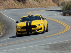 ford mustang shelby gt350r pic #149195