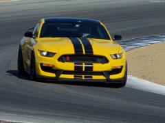Mustang Shelby GT350R photo #149199