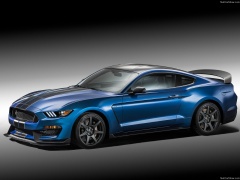 Mustang Shelby GT350R photo #149201