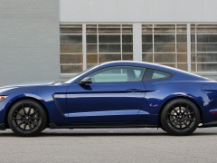 Mustang Shelby GT350 photo #166262