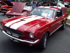Mustang photo #17111