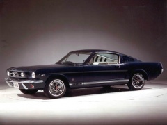 Mustang photo #17790