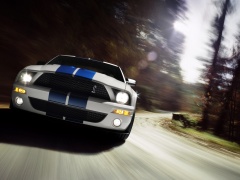 ford mustang shelby pic #30827