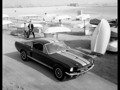 Mustang Shelby photo #33578