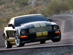 Mustang Shelby photo #33589