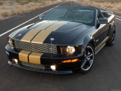 Mustang Shelby GT-H Covertible photo #42696