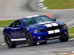 ford mustang shelby gt500 pic #92050