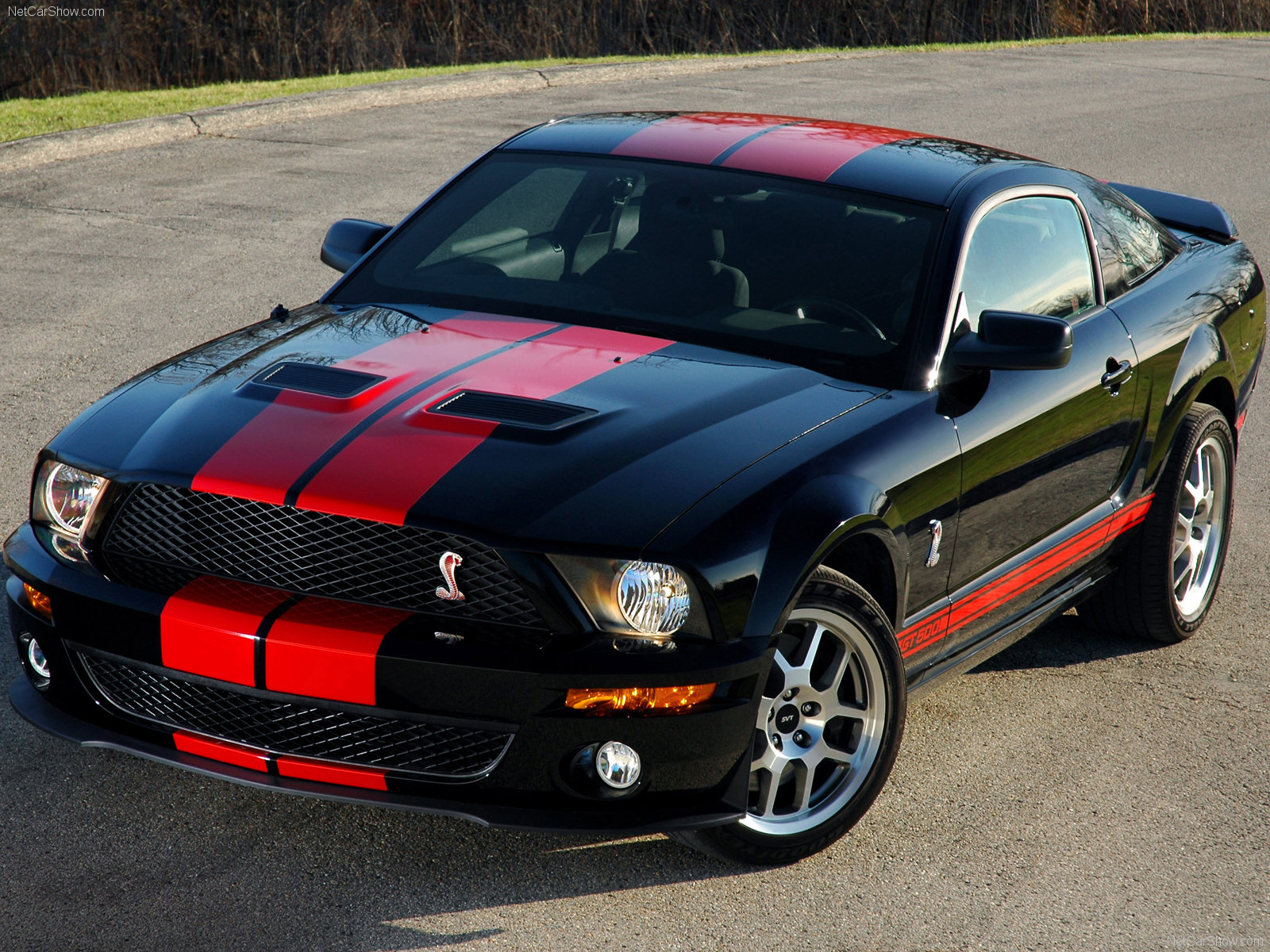 For Shelby Gt500