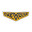 Chevron logo