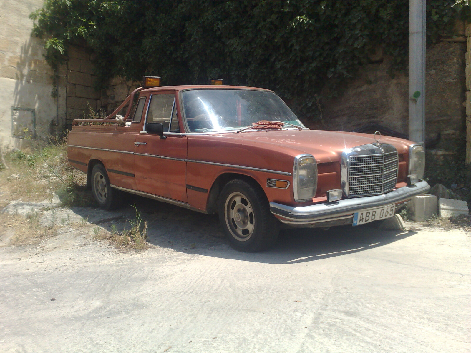 pic 215