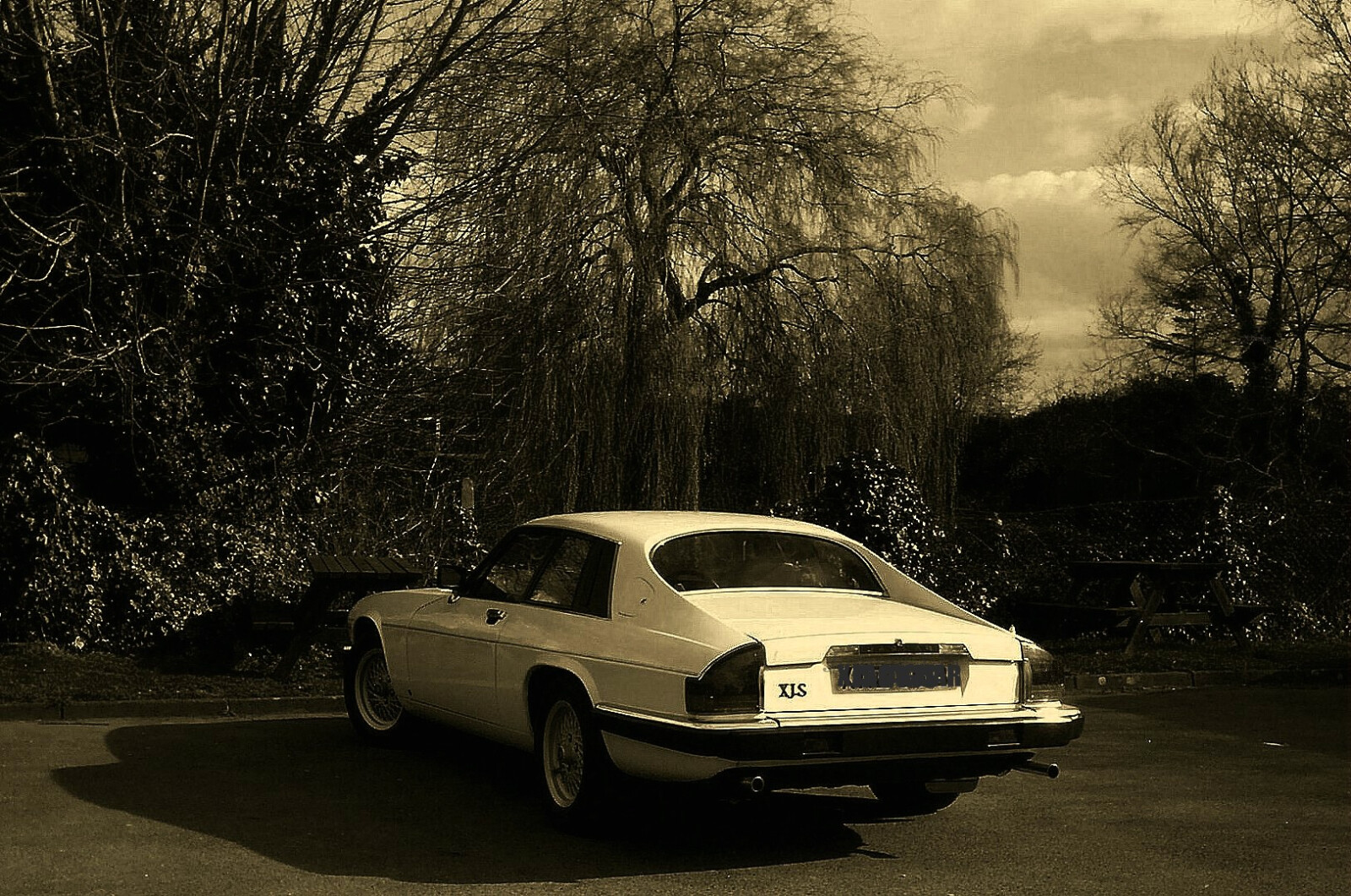 pic 252