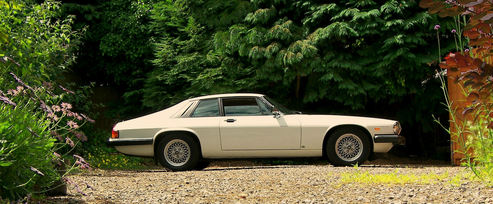 pic 251