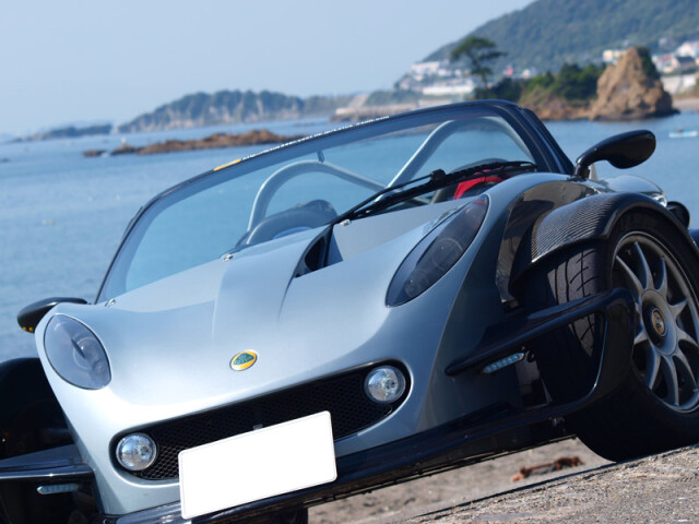 Lotus