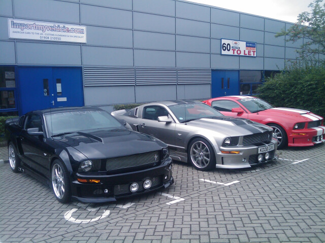 Cervini Mustangs