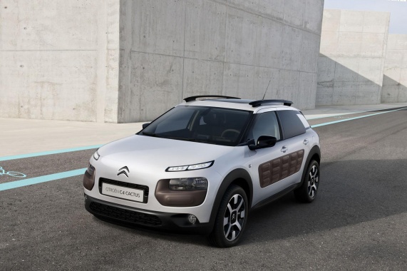 Level Down for Citroen to Keep Alive