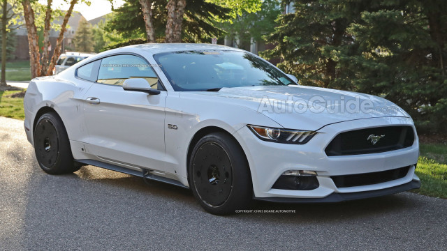 This Could Be The Next Mustang From Ford