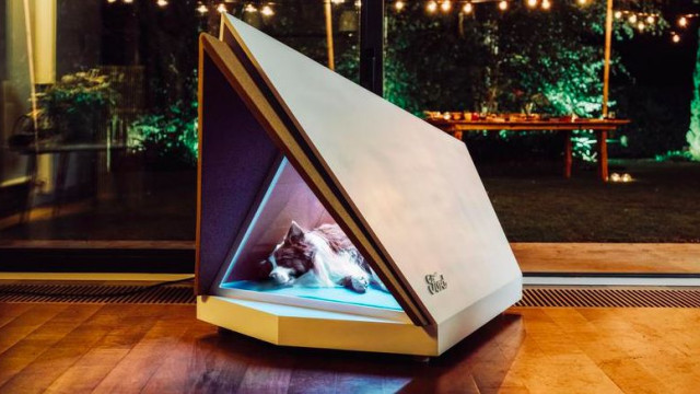 Ford has prepared an innovative doghouse