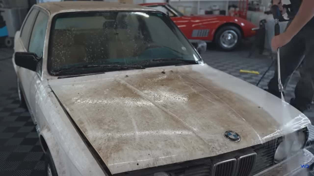 Rescued from Neglect: The Remarkable Story of a BMW E30 in a Barn