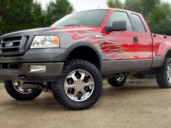 Anniversary Ford F-Series Bought in Plano, Texas pic #518