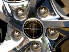 Chevrolet Corvette Stingray has Informed About the Top-Class Edition  pic #594