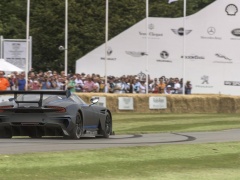 A Dynamic Premiere of Aston Martin Vulcan at Goodwood pic #4487