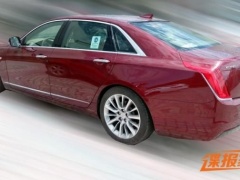 A Cherry Red CT6 from Cadillac was snapped in China pic #4617