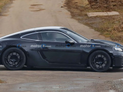 Porsche CEO Commends Electric 718 Project: 'Exceptional Vehicle' pic #7222