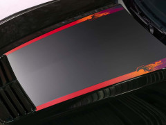 Ford Mustang EcoBoost Introduces Vintage-Inspired Upgrade with Bronze Wheels pic #7483