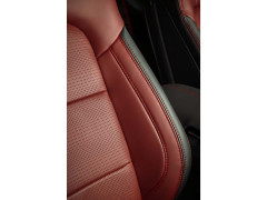 Ford Mustang EcoBoost Introduces Vintage-Inspired Upgrade with Bronze Wheels pic #7491