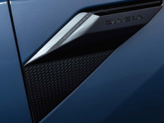 Dacia's Striker Brings Affordable Versatility to the European Market pic #8651