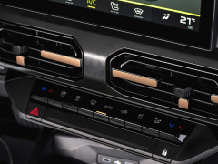 Dacia's Striker Brings Affordable Versatility to the European Market pic #8670