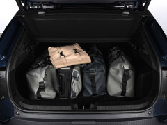 Dacia's Striker Brings Affordable Versatility to the European Market pic #8685