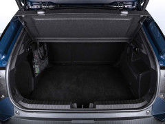 Dacia's Striker Brings Affordable Versatility to the European Market pic #8689