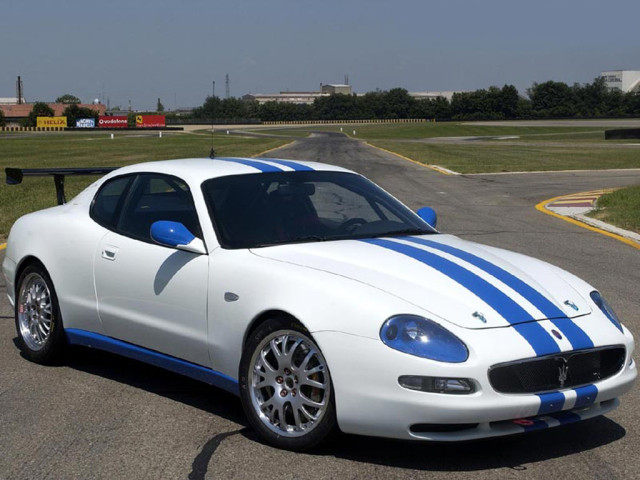 maserati coupe trofeo pic #14163