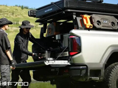 F700 photo #209877