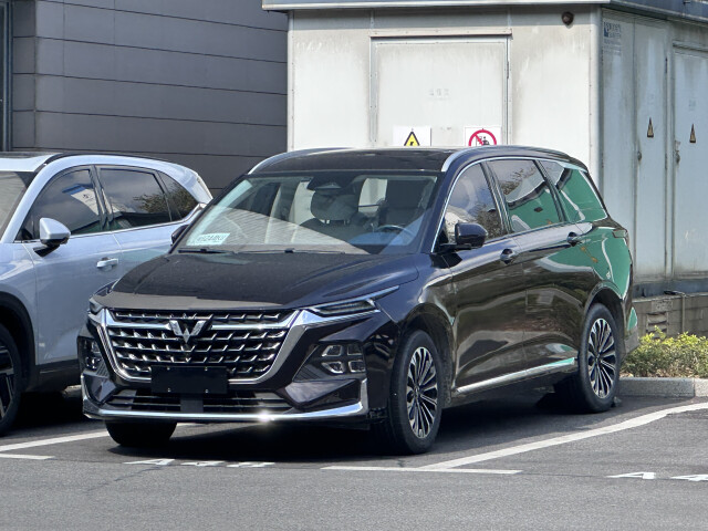 wuling victory pic #209305