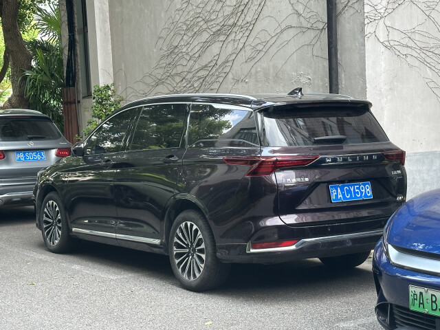 wuling victory pic #209306