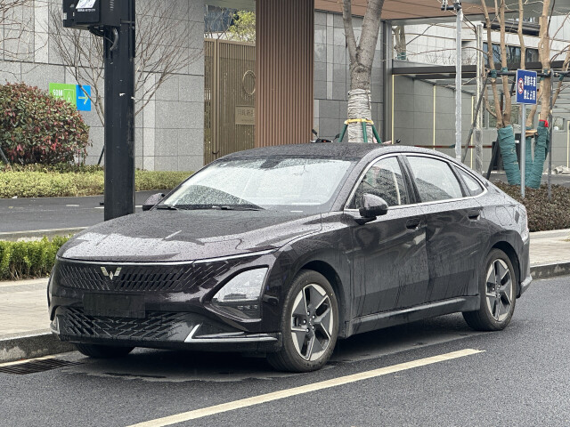 wuling starlight pic #209321