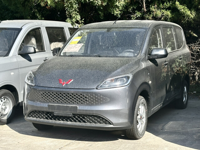 wuling hongguang pic #209334