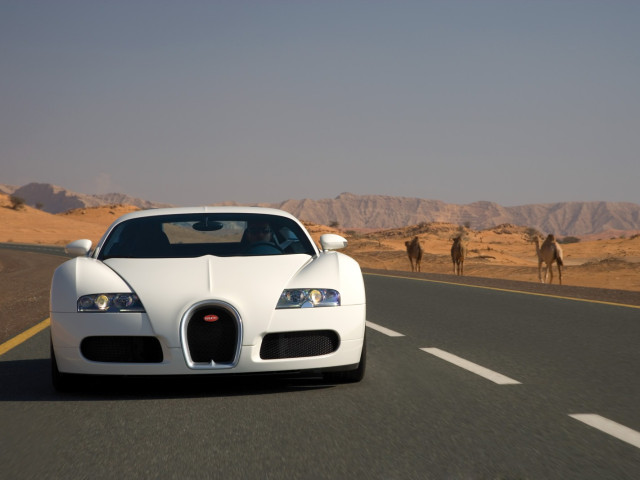 bugatti veyron pic #160845