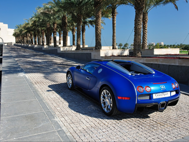 bugatti veyron pic #160962