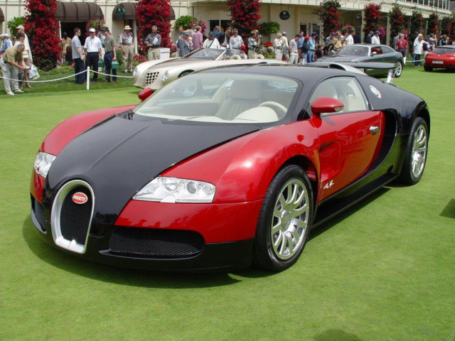 bugatti eb 16.4 veyron pic #30011