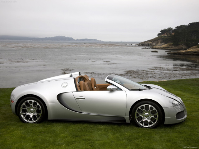 bugatti veyron grand sport pic #62100