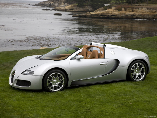 bugatti veyron grand sport pic #62103