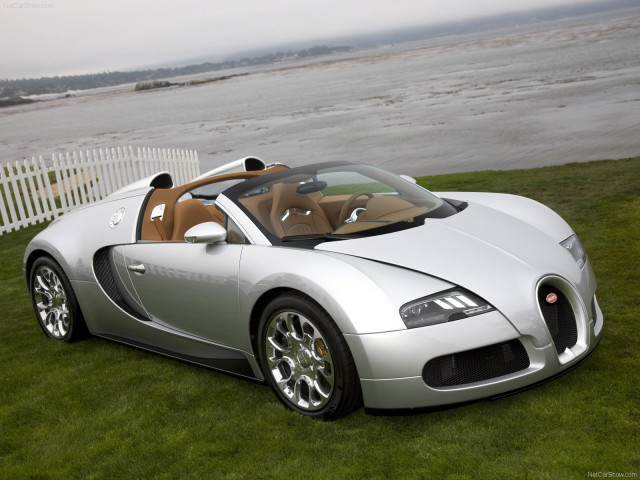 bugatti veyron grand sport pic #62104