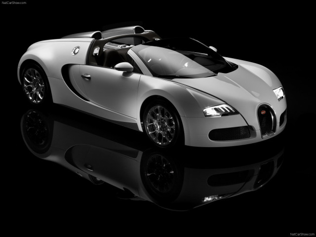 bugatti veyron grand sport pic #62112