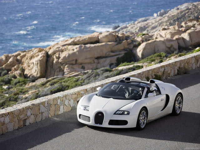 bugatti veyron grand sport pic #62119