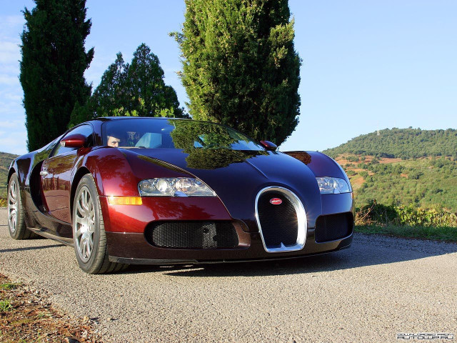 bugatti veyron pic #62194