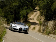 Veyron Grand Sport photo #64994