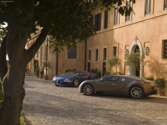 Veyron Grand Sport photo #65000
